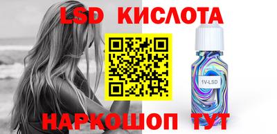 шишки Дубна