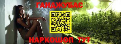 шишки Дубна