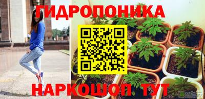 шишки Дубна