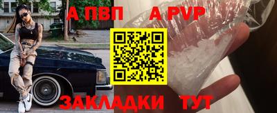 шишки Дубна