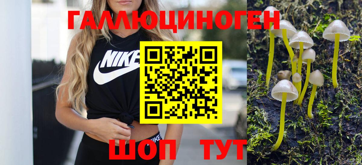 Ленинск-Кузнецкий  магазин    Вход с VPN  Псилоцибиновые грибы Psilocybine cubensis 
