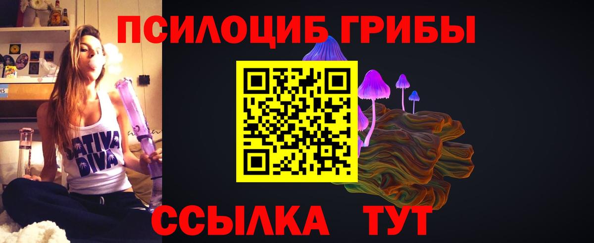 Галлюциногенные грибы прущие грибы Ленинск-Кузнецкий